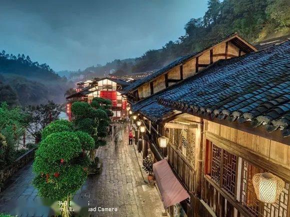 紫色系
